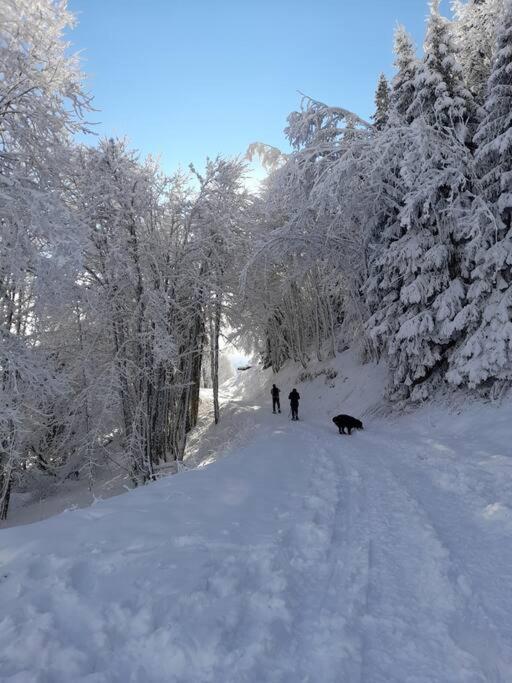Le Cocon Du Bettex 1400 - Cozy Apt Near Mont Blanc Saint-Gervais-les-Bains Exterior foto